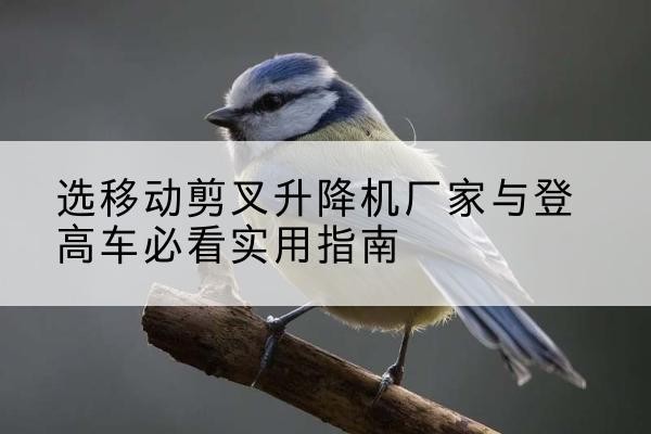 惠来电动升降机厂家-选移动剪叉升降机厂家与登高车必看实用指南
