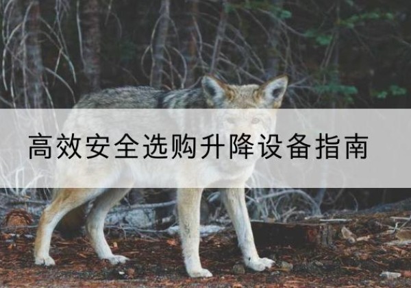 惠来升降货梯厂家推荐-*安全选购升降设备指南