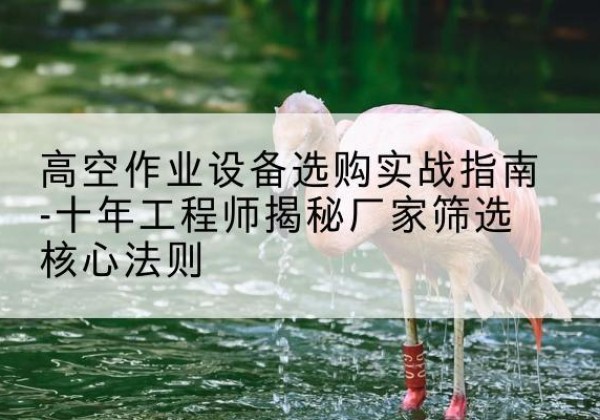 惠来剪叉式升降机厂家-高空作业设备选购实战指南-十年工程师揭秘厂家筛选核心法则
